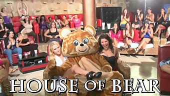 Dancing Bear: Wild Cfnm Party With Horny Milfs And Ebony Babes